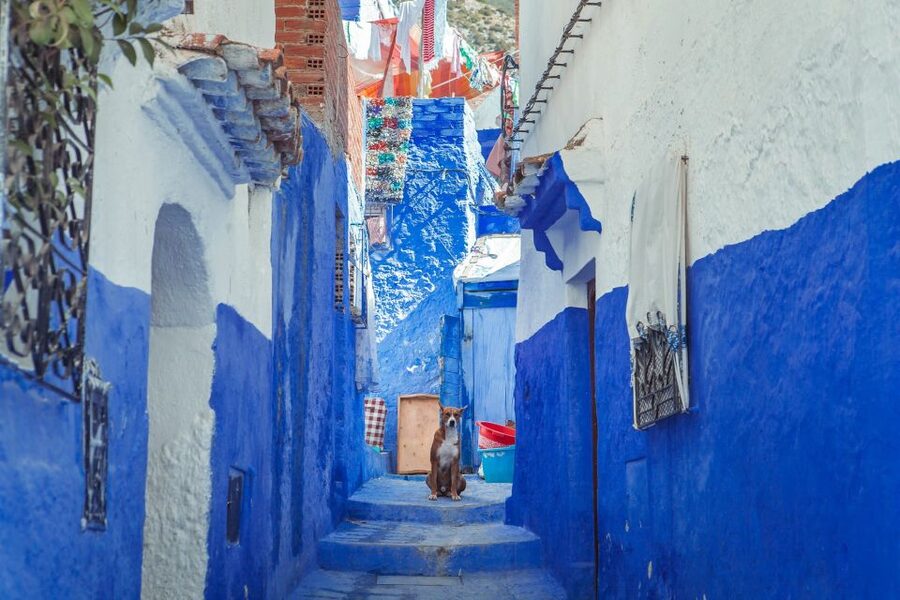 Chefchaouen Day Trip from Fez (Shared Group Tour) - The return trip to Fez