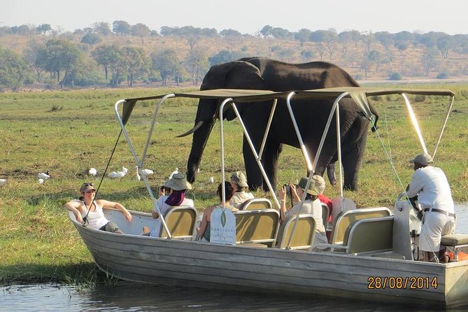 Chobe Day Trip from Victoria Falls, Zimbabwe - Why Chobe works as a one-day safari