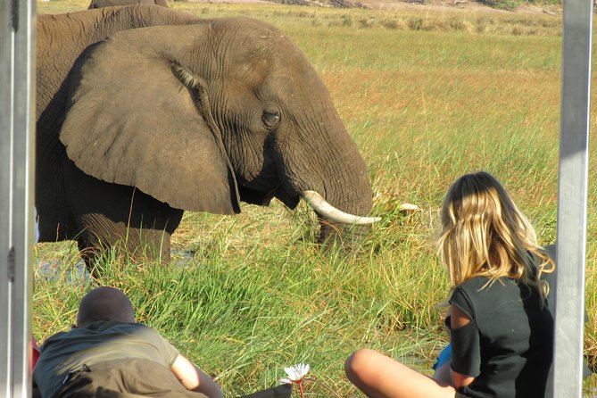 Chobe Day Trip from Victoria Falls, Zimbabwe - Lunch at Cresta Mowana Lodge