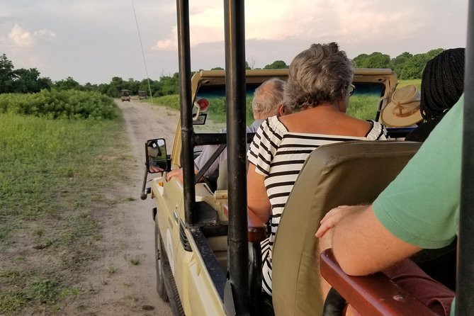 Chobe Day Trip from Victoria Falls, Zimbabwe - The afternoon game drive in Chobe National Park