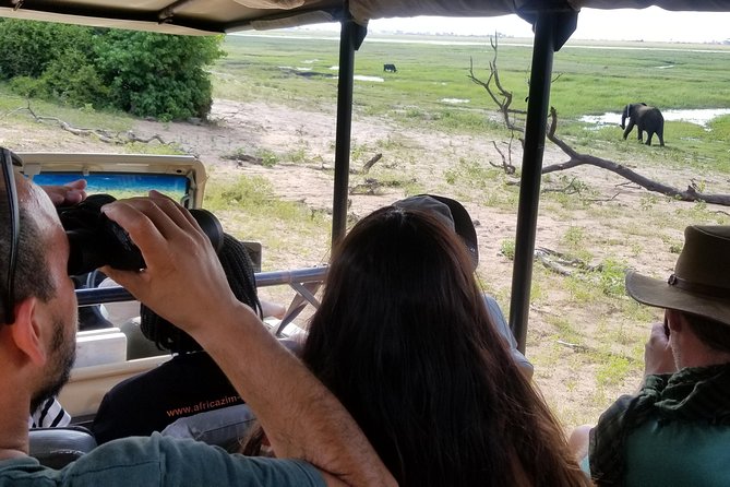 Chobe Day Trip from Victoria Falls, Zimbabwe - Border crossings and the long return
