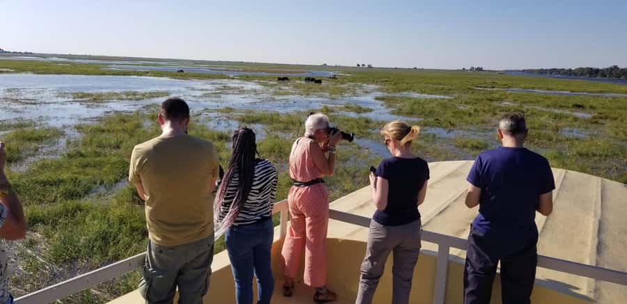 Chobe Day Trip from Victoria Falls, Zimbabwe - Is $170 good value?