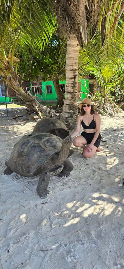 Curieuse and St. Pierre Islands Day Trip with BBQ Lunch - Key points at a glance
