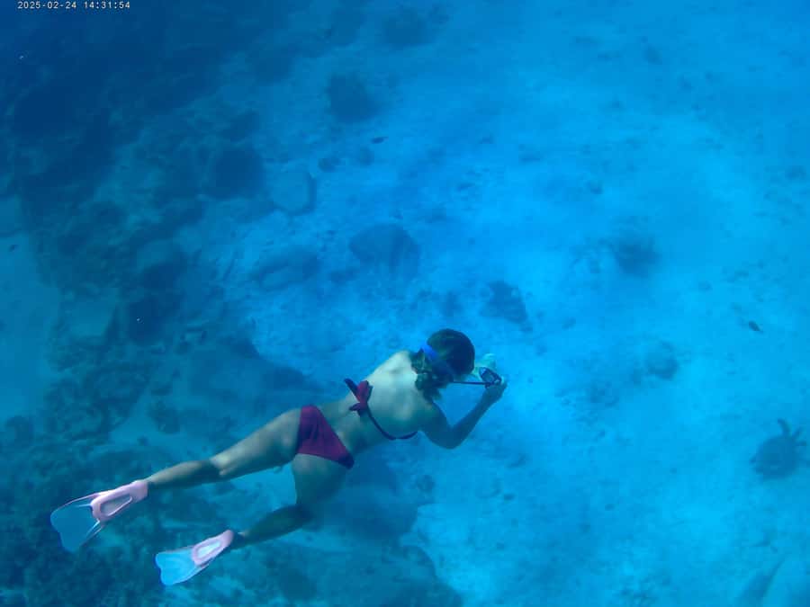 Curieuse and St Pierre Snorkeling Half-Day Trip No BBQ Lunch - Why Curieuse makes this four-hour trip worthwhile