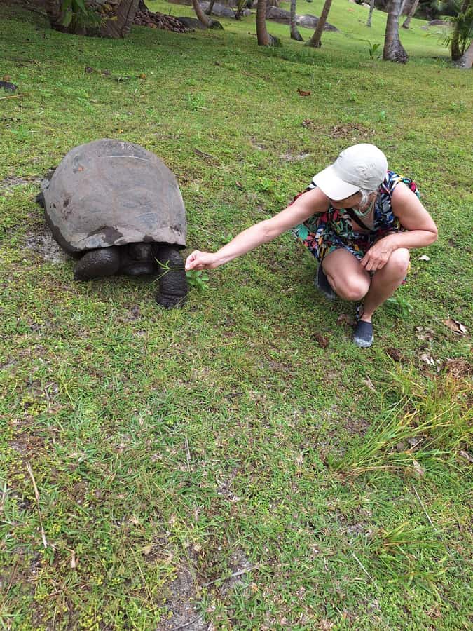 Curieuse and St Pierre Snorkeling Half-Day Trip No BBQ Lunch - Should you book this Curieuse and St Pierre trip?