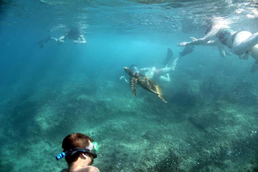 Curieuse Guided Tour, St Pierre, BBQ & 2 Snorkel Stops - Key points before you book