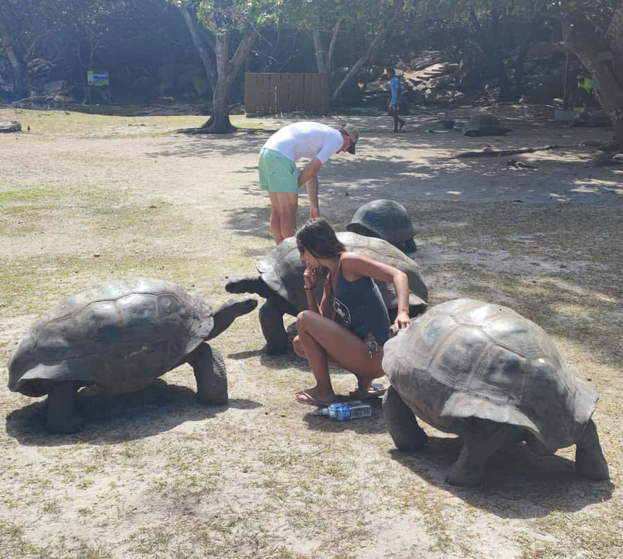 Curieuse Guided Tour, St Pierre, BBQ & 2 Snorkel Stops - Snorkeling before the island walk