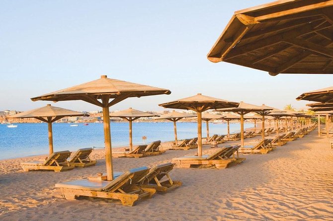 Day-Tour to the Red Sea from Cairo - What the Red Sea water is really like