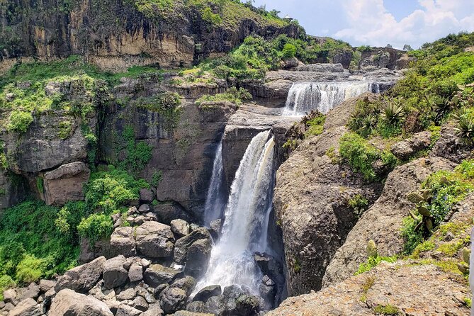 Day Trip From Addis Ababa See Historical Monastery,Stunning Nature,Animals,Birds - Gelada monkeys and the Blue Nile Gorge