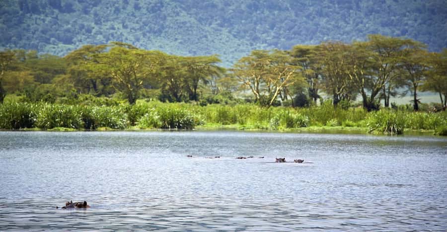 Day Trip: Hell's Gate Bike Ride & Lake Naivasha Boat Ride - Cycling through Hell’s Gate National Park