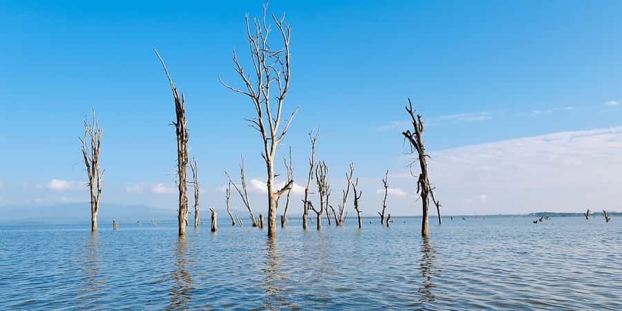 Day Trip: Hell's Gate Bike Ride & Lake Naivasha Boat Ride - A quiet boat safari on Lake Naivasha