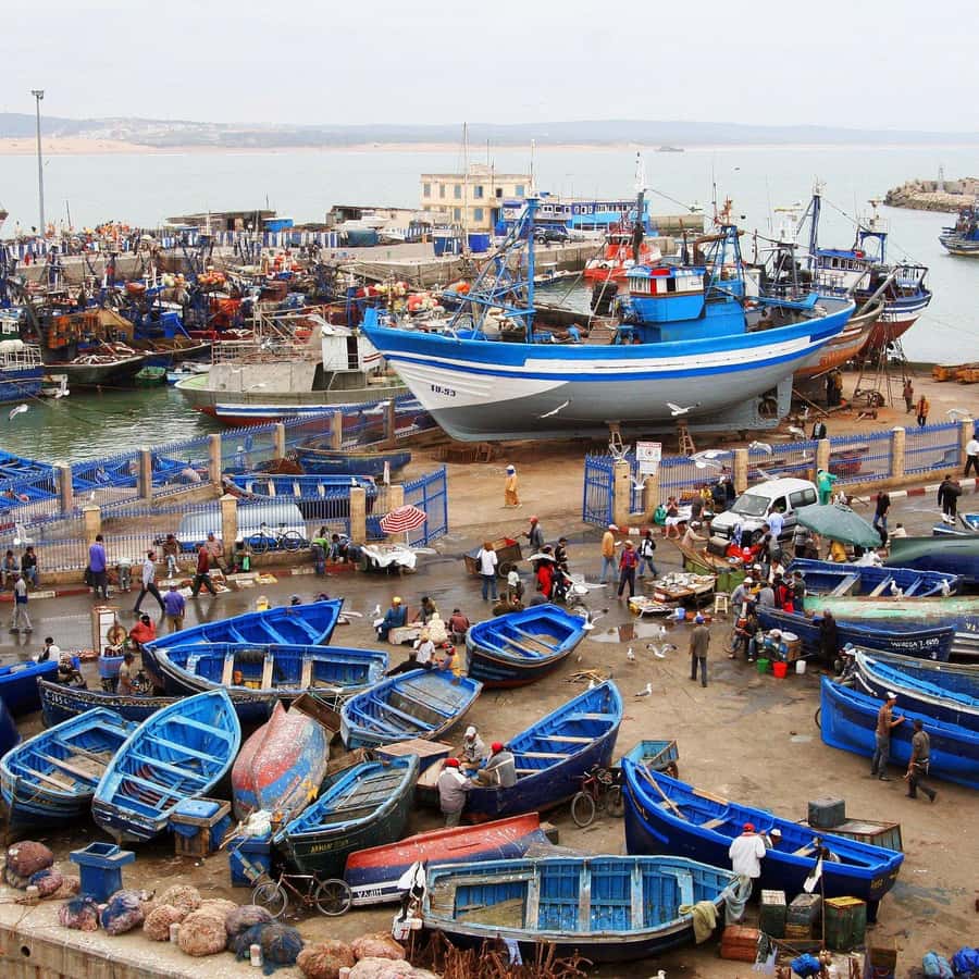 Day Trip To Essaouira From Marrakech With Guide - Key points to know before booking