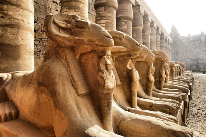 Day Trip To Luxor From Cairo By Plane - Lunch and the realities of a full-day schedule