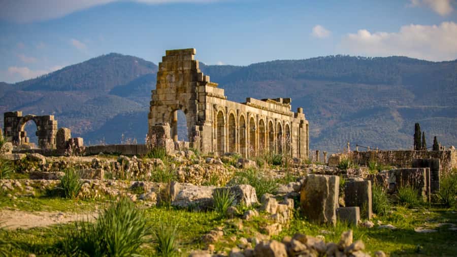Day trip to meknes ,volubilis , moulay idris - Key points to know before booking