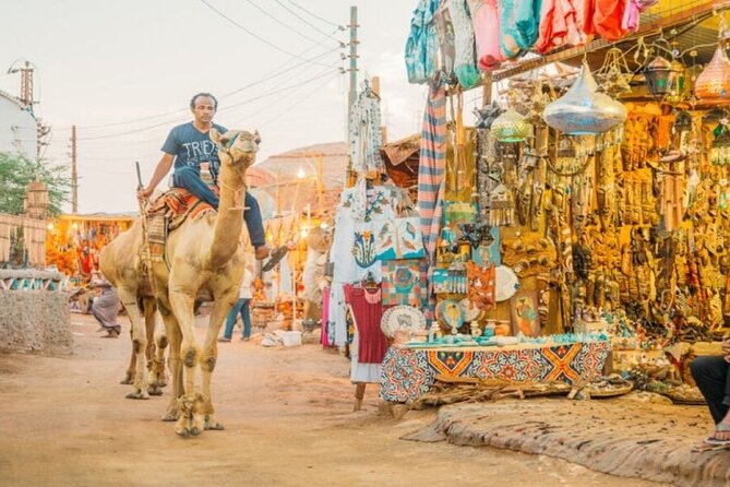 Day Trip to Nubian Village with Camel Tour from Aswan - What the two-hour schedule really means