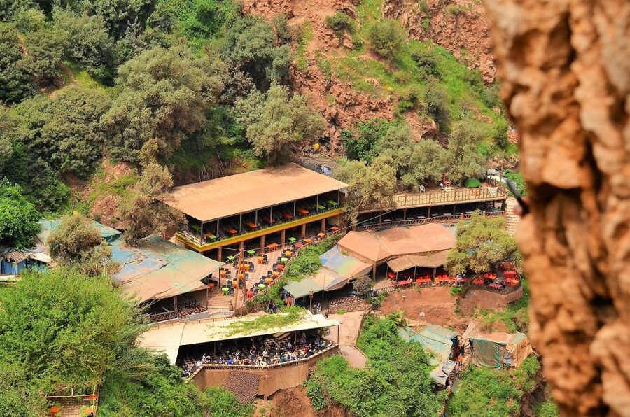 Day Trip To Ouzoud Waterfalls & Boat Ride From Marrakech - Barbary macaques near the walking route