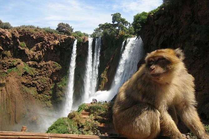 Day Trip To Ouzoud Waterfalls (Guide Hike & Boat are options) - What the $18.54 price really covers