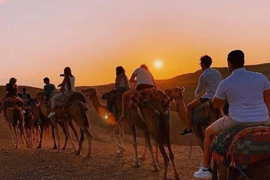 Desert & Beach Quad Adventure With Camel Ride - Key points to know before booking