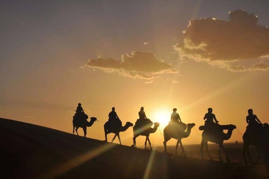 Desert & Beach Quad Adventure With Camel Ride - Why this Agadir quad and camel outing works