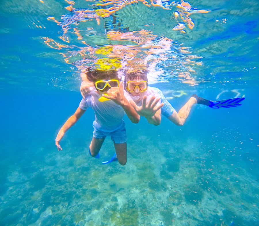 Dhow Adventure to Wasini Island & Kisite Marine Park - Snorkeling at Kisite-Mpunguti Marine Park