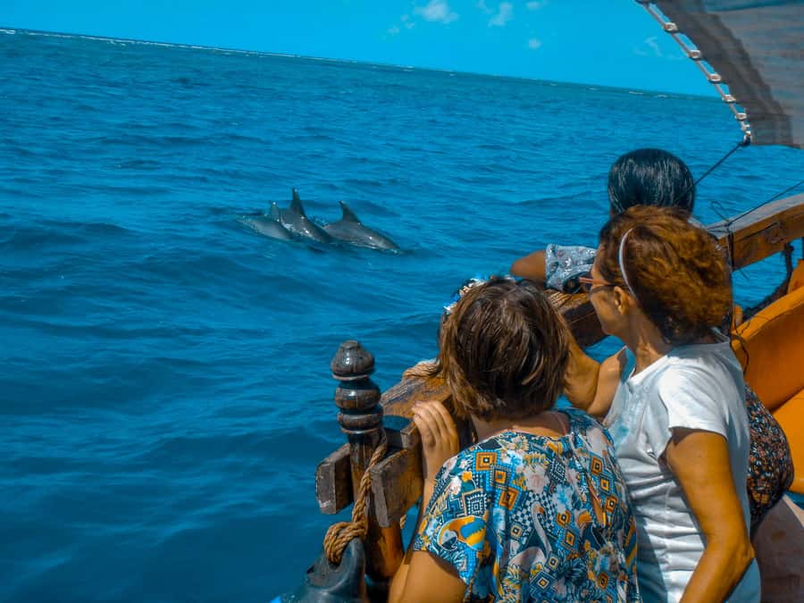 Dhow Adventure to Wasini Island & Kisite Marine Park - Coral gardens, village life, and a sensitive history