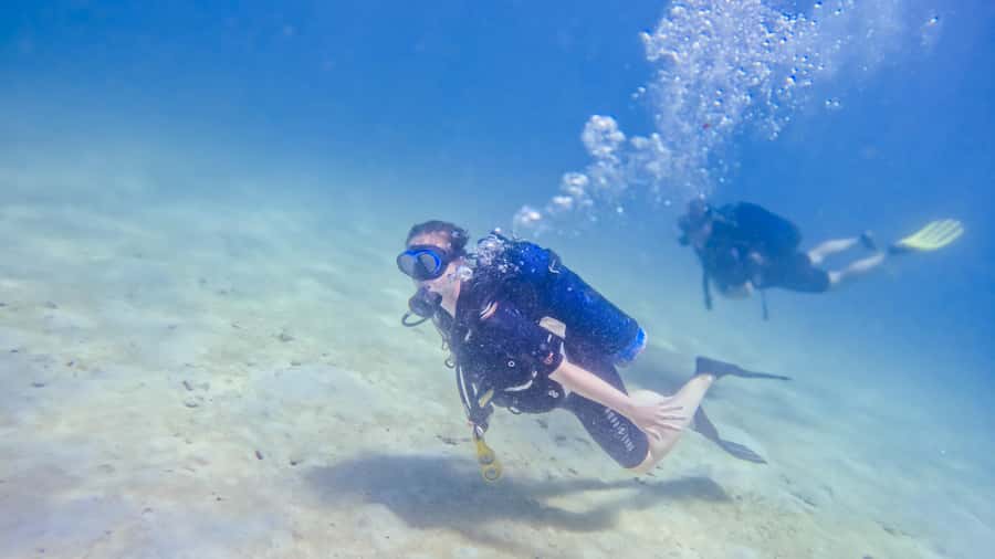 Dhow Adventure to Wasini Island & Kisite Marine Park - Who should book this dhow trip?