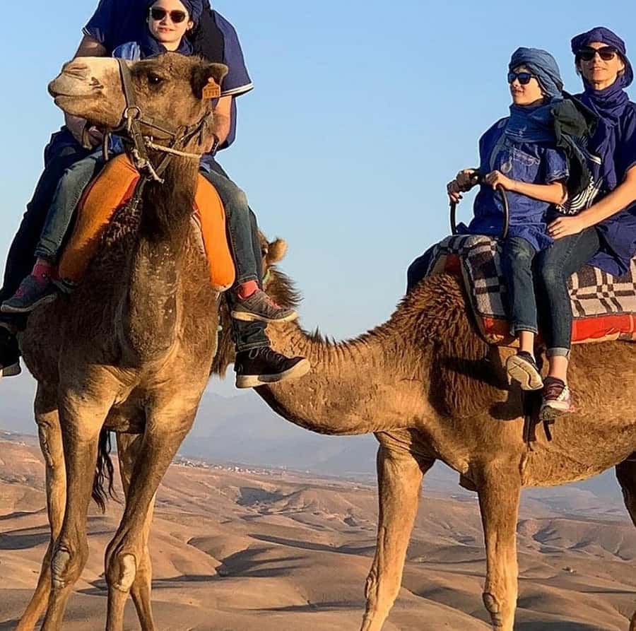 Dinner show in agafay Desert 1h quad bike & 20 min camels - What the $21 price really includes