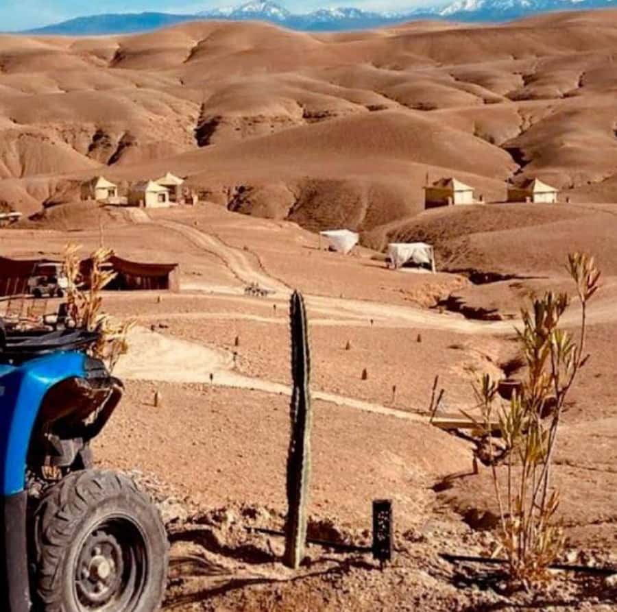 Dinner show in agafay Desert 1h quad bike & 20 min camels - Tea, the pool, and the argan cooperative stop