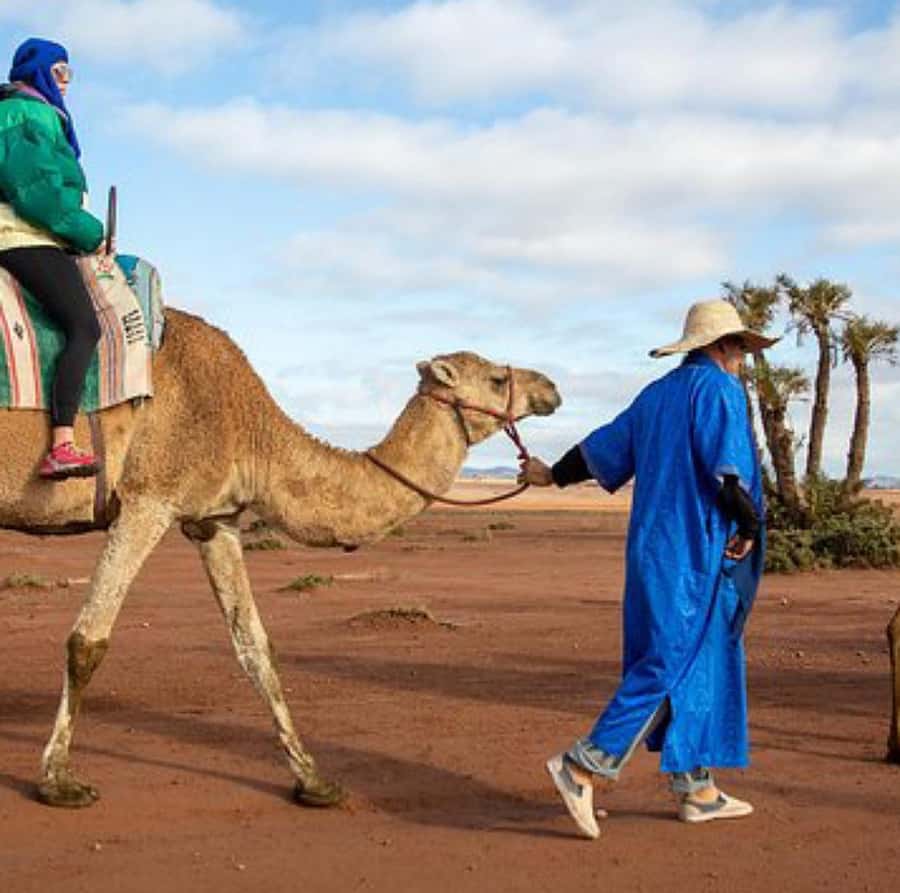 Dinner show in agafay Desert 1h quad bike & 20 min camels - Live music, dancing, and the fire finale