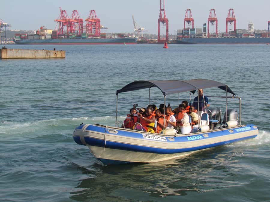 Durban: 1-Hour Boat Cruise from Wilson's Wharf - Who Will Enjoy This Cruise Most