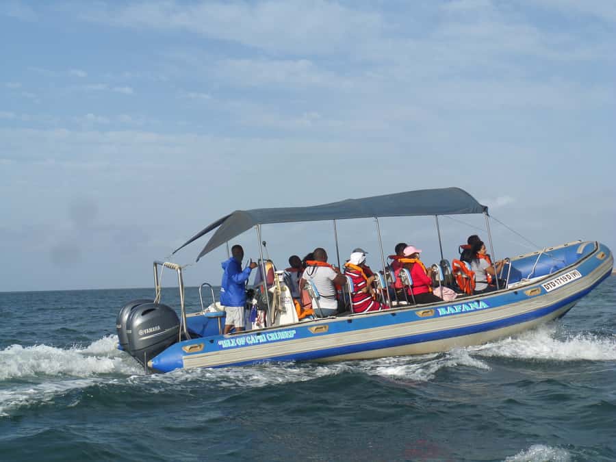 Durban: 1-Hour Boat Cruise from Wilson's Wharf - Why Durban Looks Better from the Water