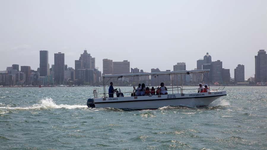 Durban: 1-Hour Boat Cruise from Wilson's Wharf - The First Minutes: Harbor Views and a Safety Briefing