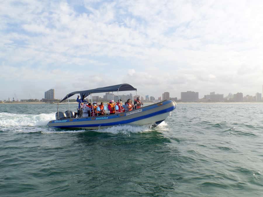 Durban: 1-Hour Boat Cruise from Wilson's Wharf - Seeing Durban’s Port at Work