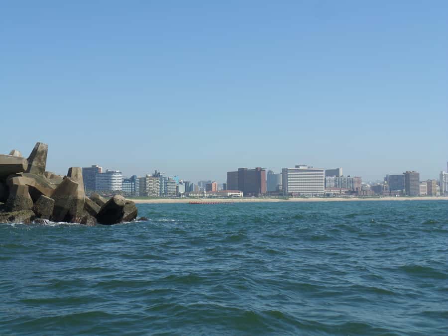 Durban: 1-Hour Boat Cruise from Wilson's Wharf - What One Hour Gets You for $11