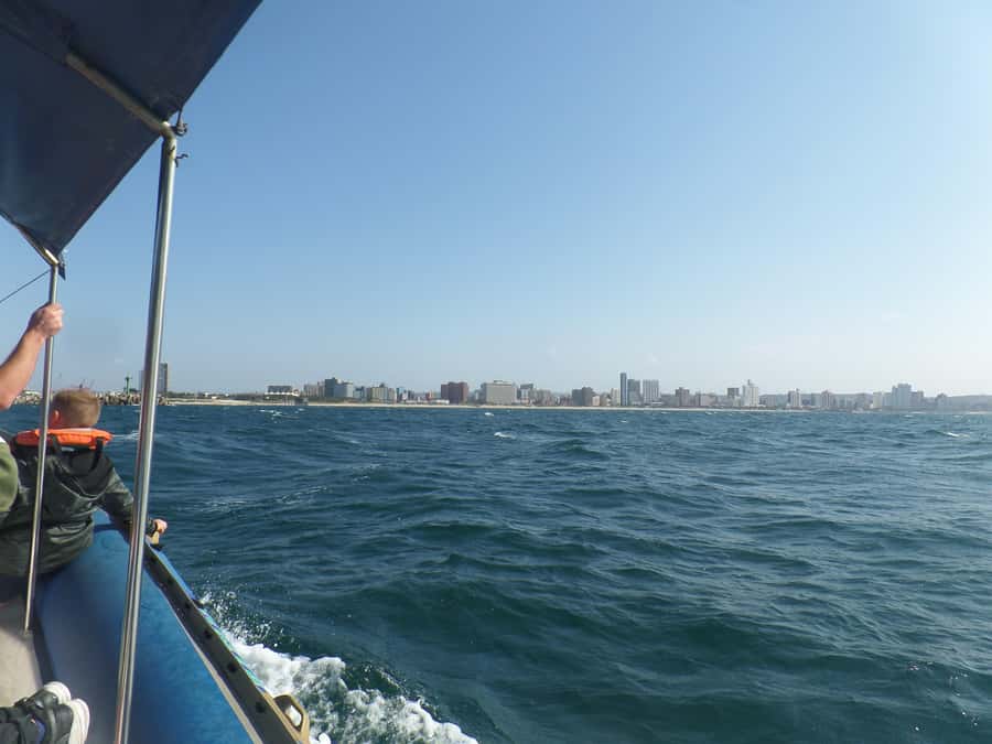 Durban: 1-Hour Boat Cruise from Wilson's Wharf - Comfort, Access, and Weather Advice