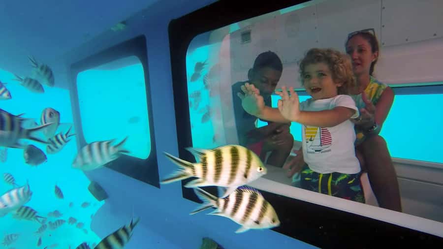 Eden Island: Semi-Submarine Tour in St. Anne Marine Park - Key points to know before booking