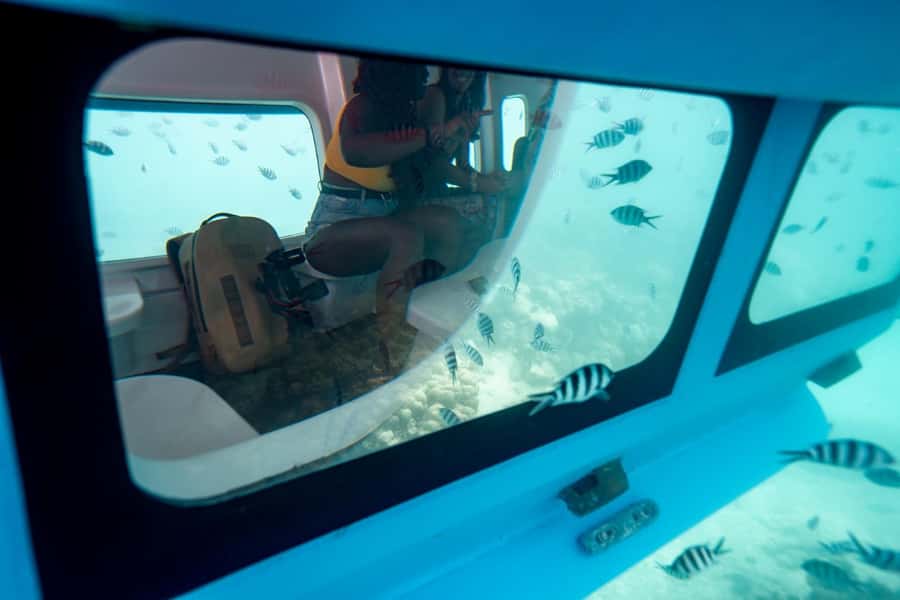 Eden Island: Semi-Submarine Tour in St. Anne Marine Park - The underwater cabin and what you can see