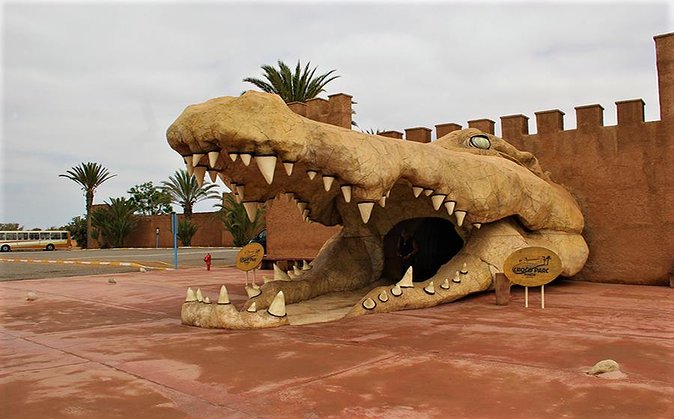 Effortless Agadir Crocoparc Ticket and Transfer Service - Choosing a morning or afternoon departure