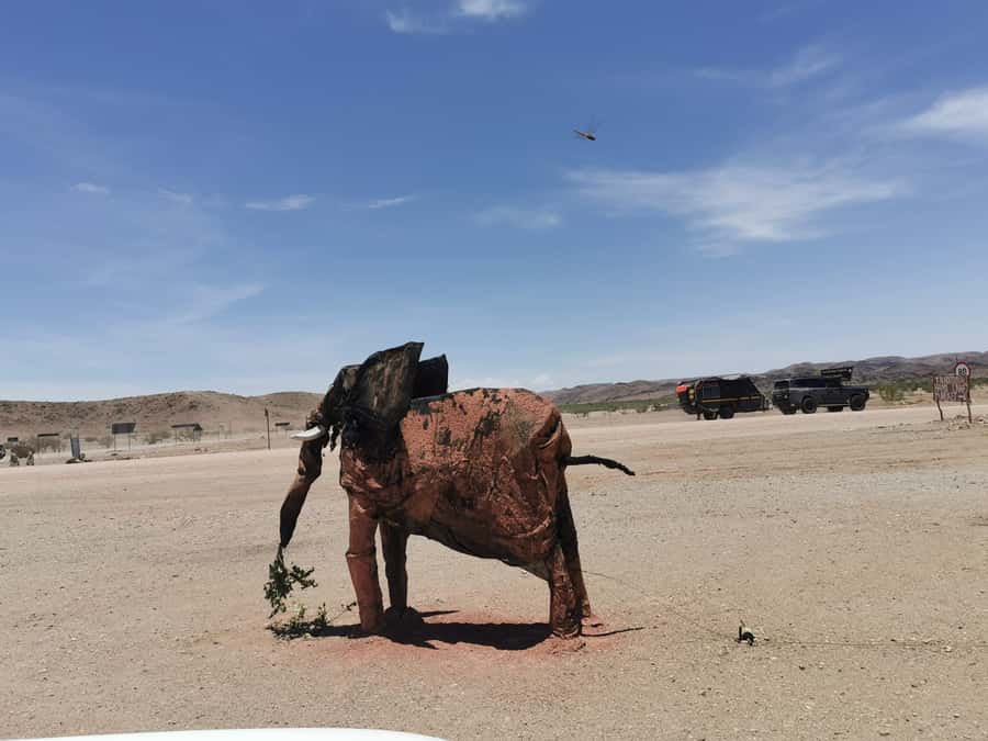 Elephant Adventure with Herson - a native of Damaraland - More animals along the way