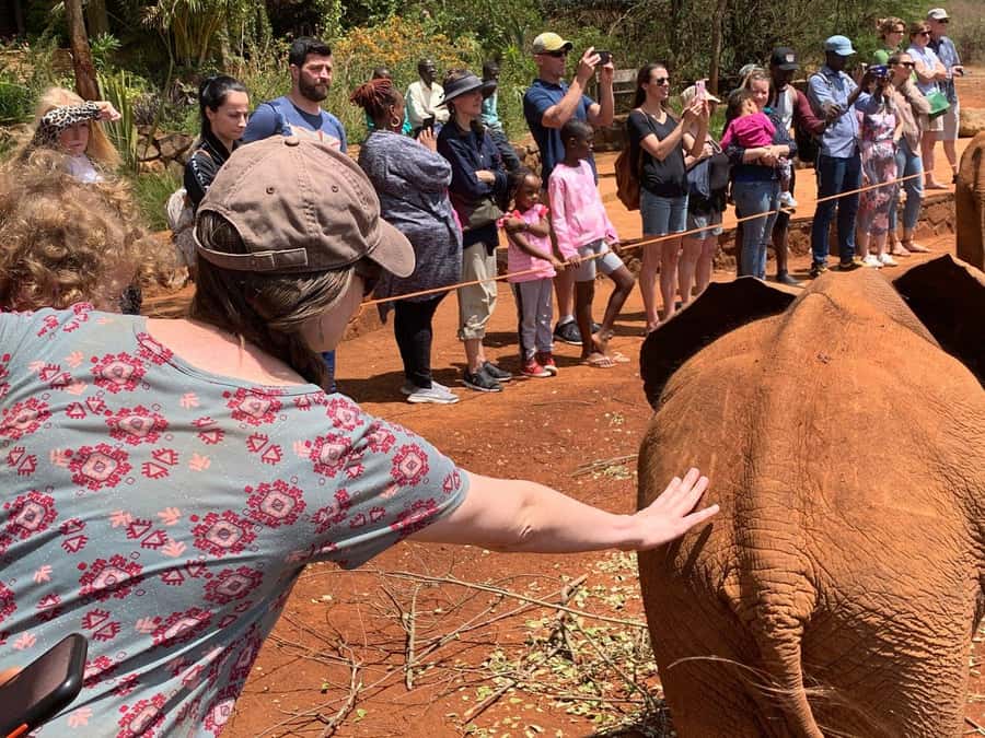 Elephant Orphanage and Giraffe Center Tour with Options - Karen Blixen Museum and Bomas of Kenya options