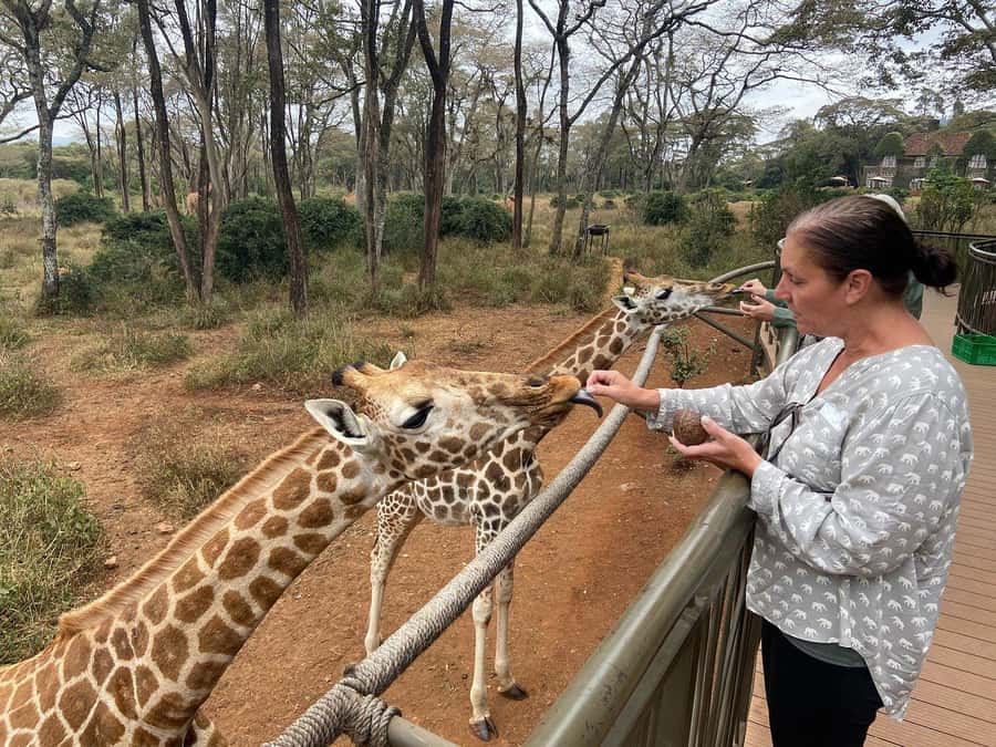 Elephant Orphanage and Giraffe Center Tour with Options - What the $35 price really covers