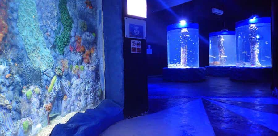 Entry Ticket: Grand Aquarium Hurgada - Entering the rainforest exhibit