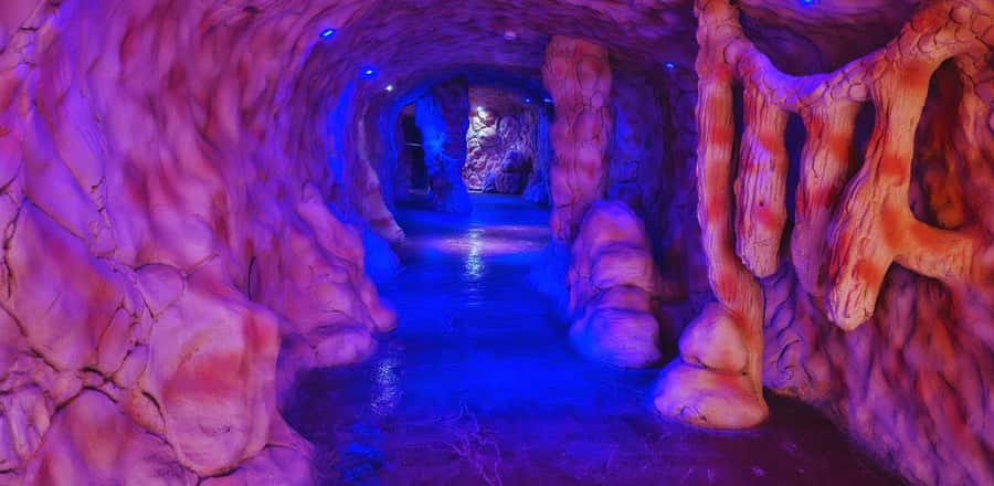 Entry Ticket: Grand Aquarium Hurgada - Touching starfish and sea urchins