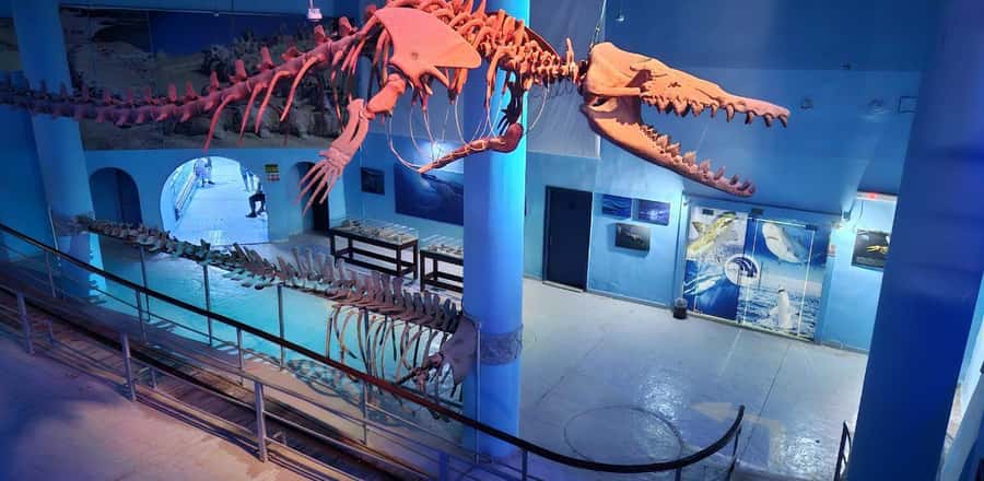 Entry Ticket: Grand Aquarium Hurgada - How long to allow for the visit