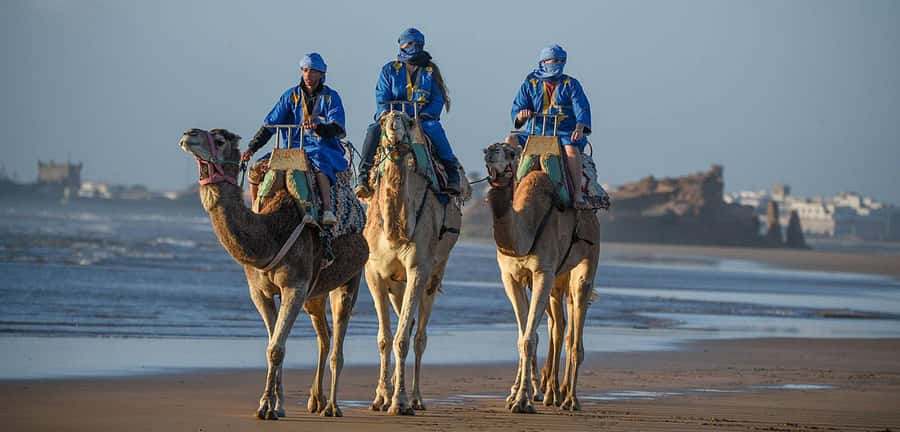 Essaouira: 2-Hour Camel Ride - Key points to know before booking