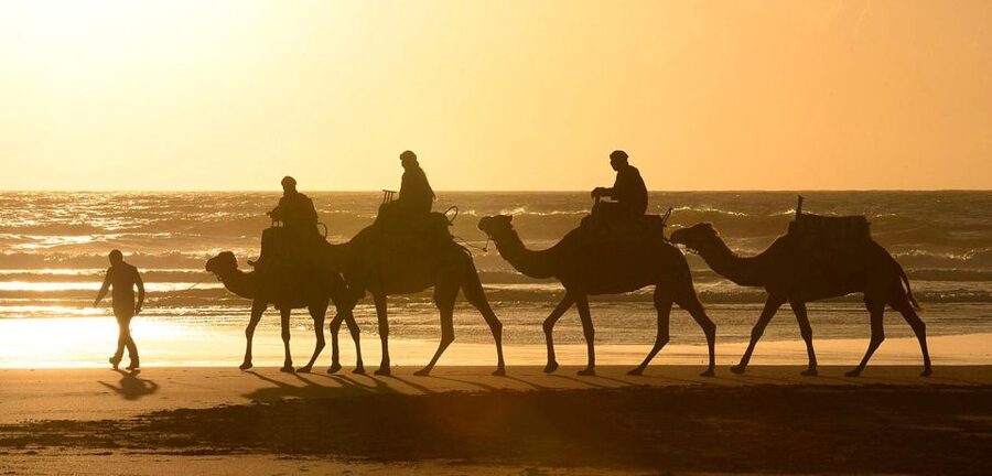 Essaouira: 2-Hour Camel Ride - Practical details that make the day easier