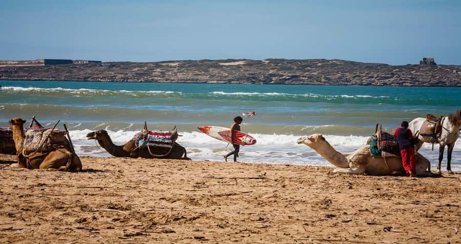 Essaouira: 2-Hour Camel Ride - What the two-hour camel route is really like