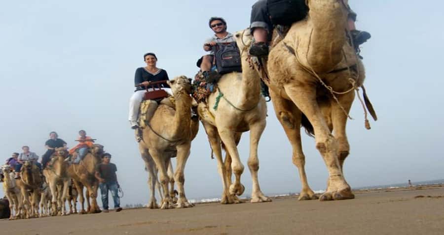 Essaouira: 2-Hour Camel Ride - Climbing the dunes on a slow-moving camel