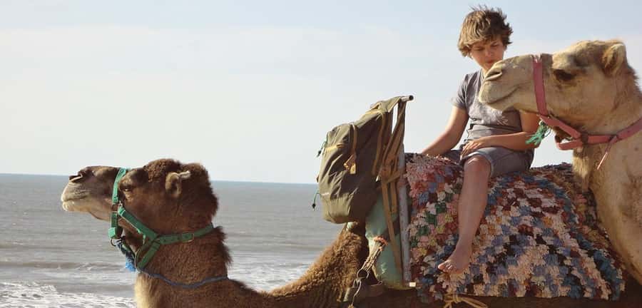 Essaouira: 2-Hour Camel Ride - Shady forest paths and a different side of Essaouira