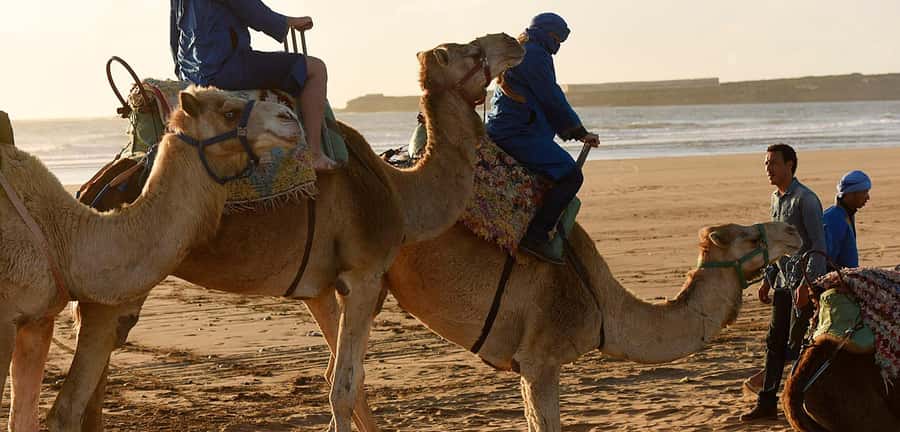 Essaouira: 2-Hour Camel Ride - Guides, photos, and the human side of the ride